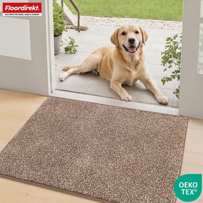 FLOORDIREKT Schoonloopmat Nasa - Zachte & Waterabsorberende Deurmat - Bruin 50 x 80 cm - Voor Binnen & Buiten - Antislip Onderzijde - Verkrijgbaar in 5 Kleuren & 8 Maten
