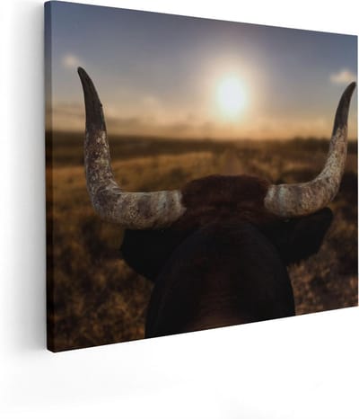 Artaza Canvas Schilderij Stier - 50x40 cm - Wanddecoratie Dierenkop - Muurdecoratie Zon - Kamer Accessoires