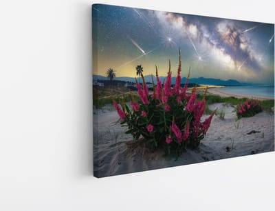 Saammp Canvas Schilderij - Vallende Ster - Natuur - Landschap - 45x30 - Foto op canvas - Wanddecoratie - Muurdecoratie Woonkamer - Slaapkamer decoratie - Canvas Print