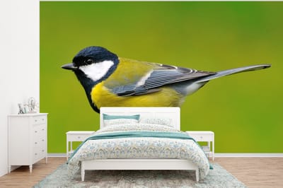 Behang - Fotobehang Vogel - Koolmees - Dieren - Groen - Breedte 375 cm x hoogte 280 cm