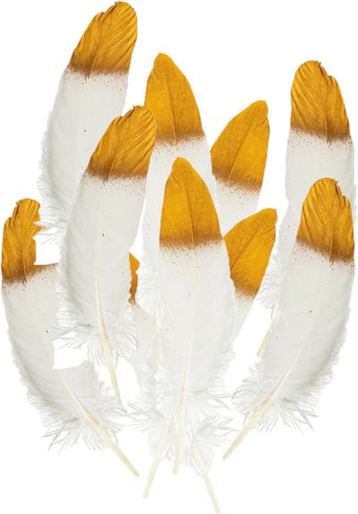 Partyxplosion Ganzenveer/sierveer - 20x stuks - wit met goud - 18-22 cm - decoratie/hobbymateriaal
