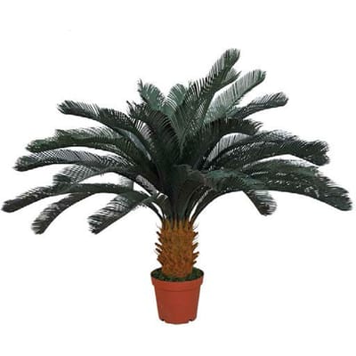 Intergard Kunstplanten Cica 125cm