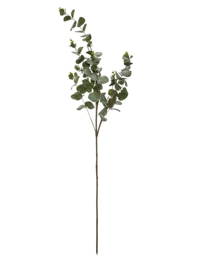JJA - Eucalyptus tak 98 cm natuurlijke decoratie