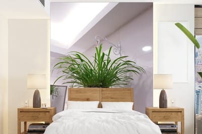 Behang - Fotobehang Hangplant in huis - Breedte 175 cm x hoogte 240 cm