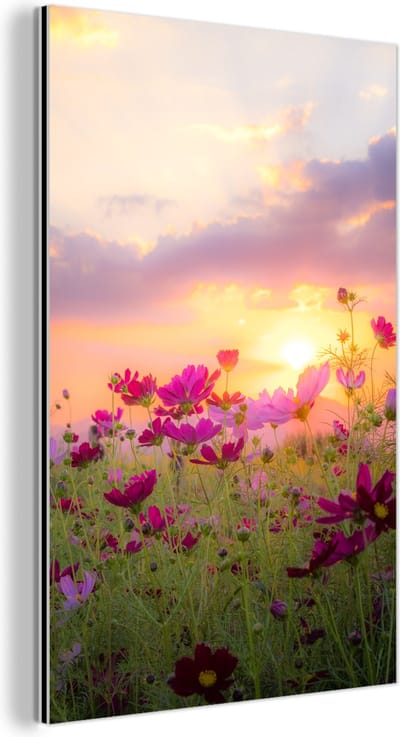 Aluminium schilderij 120x180 cm - Wanddecoratie metaal - Bloemen - Roze - Zonsondergang - Natuur - Weide - Horizon - Metalen muurdecoratie woonkamer - Decoratie industrieel - Foto op dibond - Industriële accessoires slaapkamer