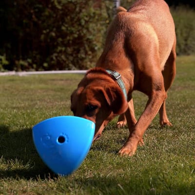 Hondensnoepdispenser - Interactief voeder speelgoed - Mentale stimulatie hond - Unieke Reuleaux tetraëder vorm - 450 Gram - Blauw