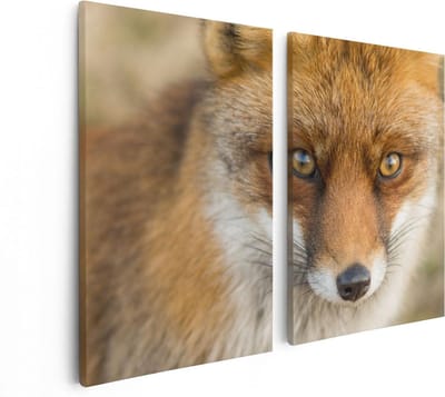Artaza Canvas Schilderij Tweeluik Vossenkop met Bruine Ogen - Vos - 80x60 - Foto Op Canvas - Canvas Print
