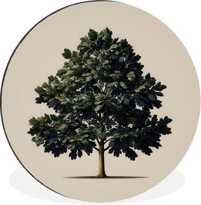 WallCircle - Wandcirkel - Muurcirkel - Eikenboom - Schaduw - Egaal - Aluminium - Dibond - 30x30 cm - Binnen en Buiten