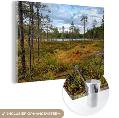 ® Glasschilderij 180x120 cm - Schilderij acrylglas - Herfst-gekleurde bossen in het Nationaal park Skuleskogen in Zweden - Foto op glas - Muurdecoratie woonkamer - Wanddecoratie slaapkamer - Schilderijen