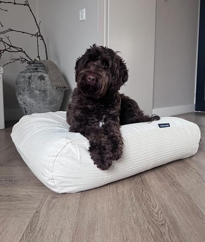 Dog's Companion Hondenkussen / Hondenbed - XS - 55 x 45 cm - Gebroken Wit Double Ribcord