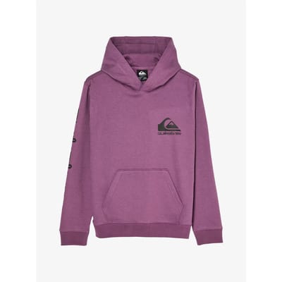 Quiksilver Omni Logo Hoodie Paars 14 Years Jongen