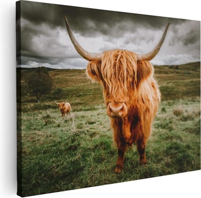 Artaza Canvas Schilderij Hooglander - 40x30 cm - Klein - Wanddecoratie Natuur - Muurdecoratie Landschap - Kamer Accessoires