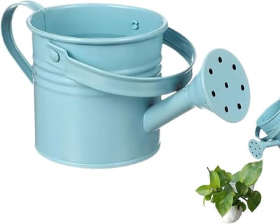Gieter Gegalvaniseerd IJzer - Sproeier Planten - Planten Water Geven - Roestbestendig Lichtgewicht - 20 x 6 x 6 cm