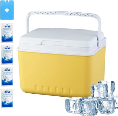 Koelbox Draagbaar - Ijs Opslag - Outdoor Activiteiten - Lekvrije Isolatie - 30x20x20 cm - Kiezelsteen