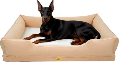 BingoPaw Gigantische Hondenmand XXXL - 127x94cm - Orthopedisch Hondenkussen voor Grote Rassen - Beige