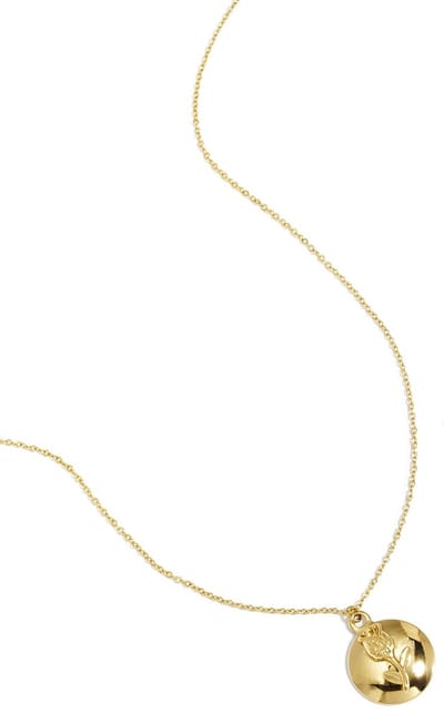 Ketting met roos op bloemhanger