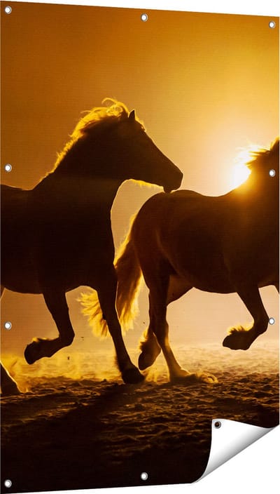 Gards Tuinposter Silhouet van Twee Paarden - 80x120 cm - Tuindoek - Tuindecoratie - Wanddecoratie buiten - Tuinschilderij