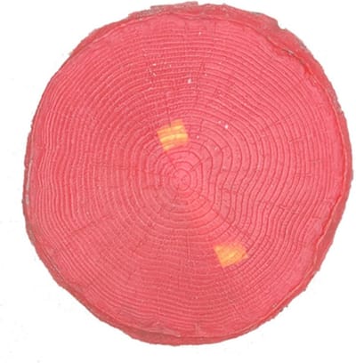 Beton Stempelmat - Houtstructuur Mal - Terrassen Aanleggen - Duurzaam Polyurethaan - 45 cm Diameter - Rood
