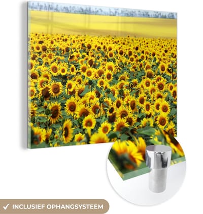 MuchoWow® Glasschilderij 40x30 cm - Schilderij acrylglas - Zonnebloem - Bloemen - Natuur - Foto op glas - Schilderijen