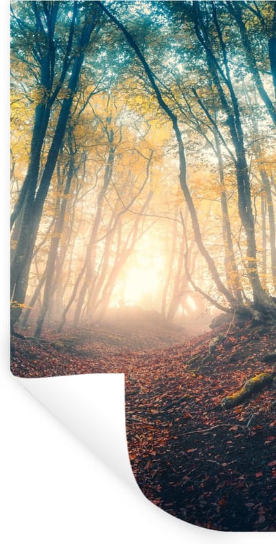 Muurstickers - Sticker Folie - Bos - Mist - Zon - Herfst - 40x80 cm - Plakfolie - Muurstickers Kinderkamer - Zelfklevend Behang - Zelfklevend behangpapier - Stickerfolie