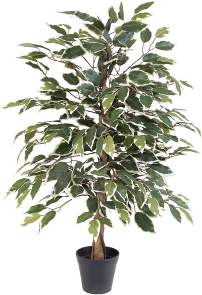 Florafy Kunstplant Ficus Benjamina Variegata 85cm - Kunstplanten voor binnen - Onderhoudsvrij