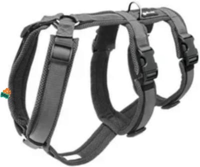 Petlando Safety Harness L Antraciet