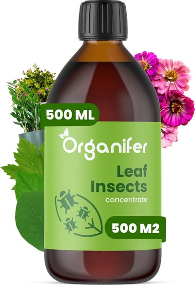 Leaf Insects Bladinsecten Concentraat (500ml, 500m2) - Bladluis – Buxusrups – Geschikt voor wolluizen, spint, anri-rupsen, bladluizen, taxuskever, witte vlieg, trips en andere bladinsecten – Organifer