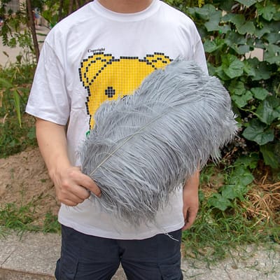 10 pièces Plumes d'autruche Naturelles en Gros 15-50 cm Plumes d'Artisanat pour Fête Mariage Décoration de Maison Centres de Table Décoration de Bijoux 15-20cm gris clair