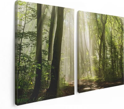 Artaza Canvas Schilderij Tweeluik Bos Met Bomen En Zonneschijn - 120x80 - Foto Op Canvas - Canvas Print