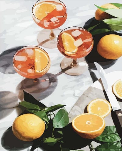 Schilderen Op Nummer Volwassenen - Do It Yourself Paintings - Cheers to Citrus - Cocktails – Inclusief Penselen – Canvas Schildersdoek Zonder Frame – Kleuren op Nummer – 50x40cm
