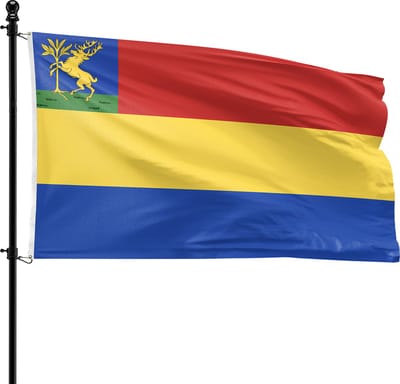 VlagDirect - Hellendoorn vlag - Gemeente Hellendoorn vlag - 90 x 150 cm.