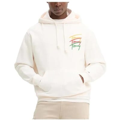 Capuchon sweaters Tommy Hilfiger DM0DM21372 YBH
