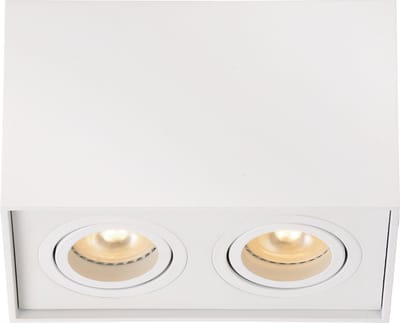 Lucide TUBE - Plafondspot (Plafondlamp) - 2xGU10 - Wit