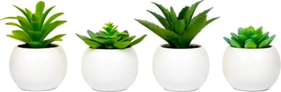 Atmosphera Kunstplanten in Pot - Wit Rond - Set van 4 - Voor Binnen - Klein - Nep plant - Succulent - Wonen & Decoratie - Interieur - Keuken - Badkamer - Woonkamer