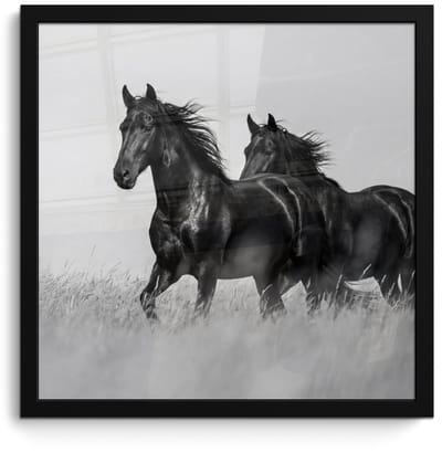 Poster in lijst - Fotolijst 40x40 cm - Posters - Paarden - Gras - Zwart - Wit - Posterlijst zwart - Decoratie - Wanddecoratie woonkamer - Muurdecoratie slaapkamer