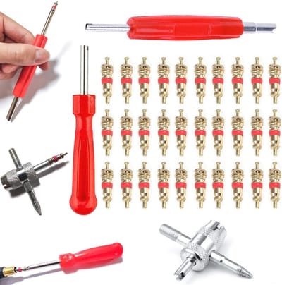 Ventielgereedschap set voor bandenreparatie met 30 ventielkernen