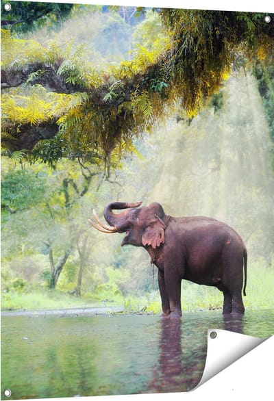 Gards Tuinposter Vrolijke Olifant in het Water - 80x100 cm - Tuindoek - Tuindecoratie - Wanddecoratie buiten - Tuinschilderij