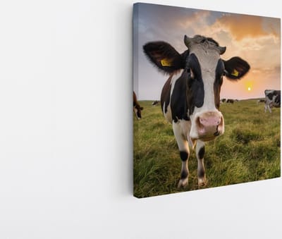Saammp Canvas Schilderij - Koe in de wei met zonsondergang - Natuur - Dieren - 20x20 - Foto op canvas - Wanddecoratie - Muurdecoratie Woonkamer - Slaapkamer decoratie - Canvas Print