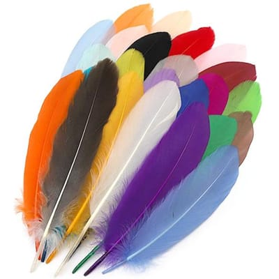 25 stuks Kleurrijke Veren Assortiment Levendige Kleuren Zacht Elegant Wijdverbreid Gebruikt Natuurlijke Veren voor Knutselen