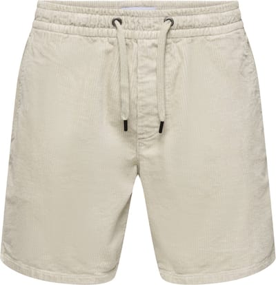 ONLY & SONS Shorts ONSTEL Regular fit Shorts