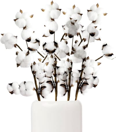 Natuurlijke gedroogde katoenbloemen takken voor vaasdecoratie, bruiloften en feesten - 4 stuks met 10 bollen (40 stuks)
