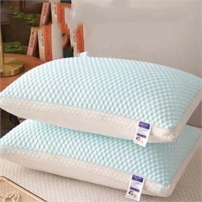 Oreiller SPA en Soie Glacée pour l'Été Respirabilité Protection du Cou Cœur d'Oreiller Rafraîchissant Ensemble Couple Famille Homme Dortoir Étudiant 700g