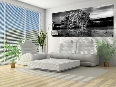 Leopard Feline Reflection Black Photo Wallcovering