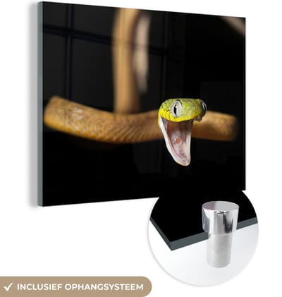 MuchoWow® Glasschilderij 160x120 cm - Schilderij acrylglas - Slang - Dier - Zwart - Foto op glas - Schilderijen