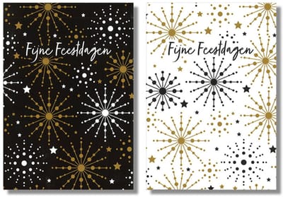 MGPcards - 10 Dubbele wenskaarten - Kerstkaarten / Nieuwjaar - Witte envelop - 10 x 14 cm - 2 Motieven per doosje