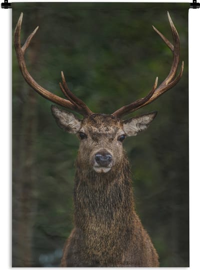 Wandkleed - Wanddoek - Hert - Gewei - Natuur - 90x135 cm - Wandtapijt