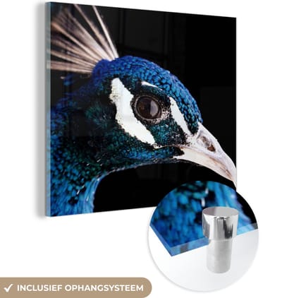 MuchoWow® Glasschilderij 50x50 cm - Schilderij acrylglas - Pauw - Dier - Blauw - Foto op glas - Schilderijen