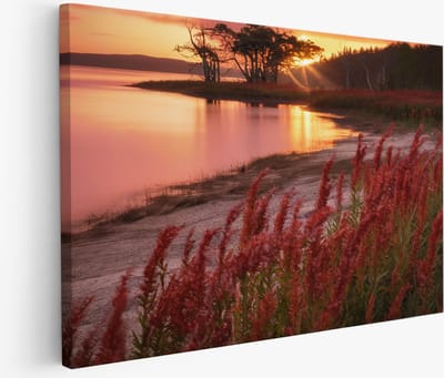 Saammp Muurcirkel Hout - Abstract - goude Roos - Vrouw - Zwart - Ø 80 - Wandcirkel - Wanddecoratie Cirkel - Muurdecoratie Woonkamer - Slaapkamer decoratie - Rond Schilderij