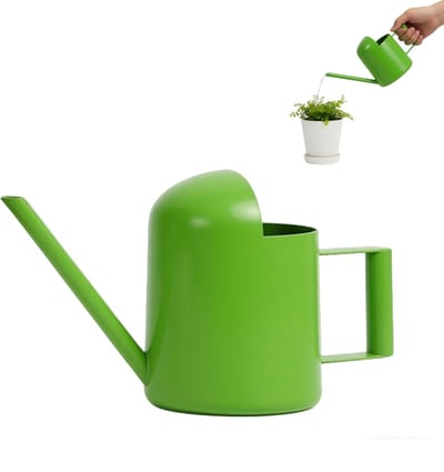 Roestvrijstalen Gieter - Waterpot Planten - Planten Verzorgen - Lange Nauwkeurige Tuit - 300 ml - Groen