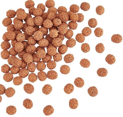 Dailygoods- Rudraksha Kralen 100 Stuks - Houten Bodhi-Kralen - Meditatie/gebedskralen - DIY Sieraden Maken - Natuurlijk Hout - Gat: 1,2 mm - Meditatiekralen